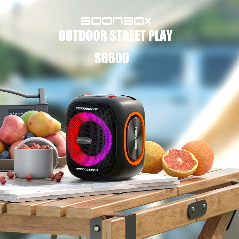 S6600